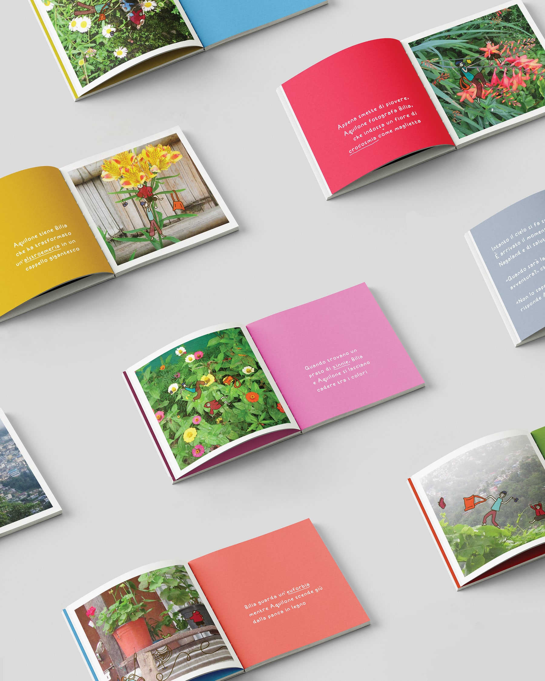 The spreads show how colour, photography, and short text move through the book.