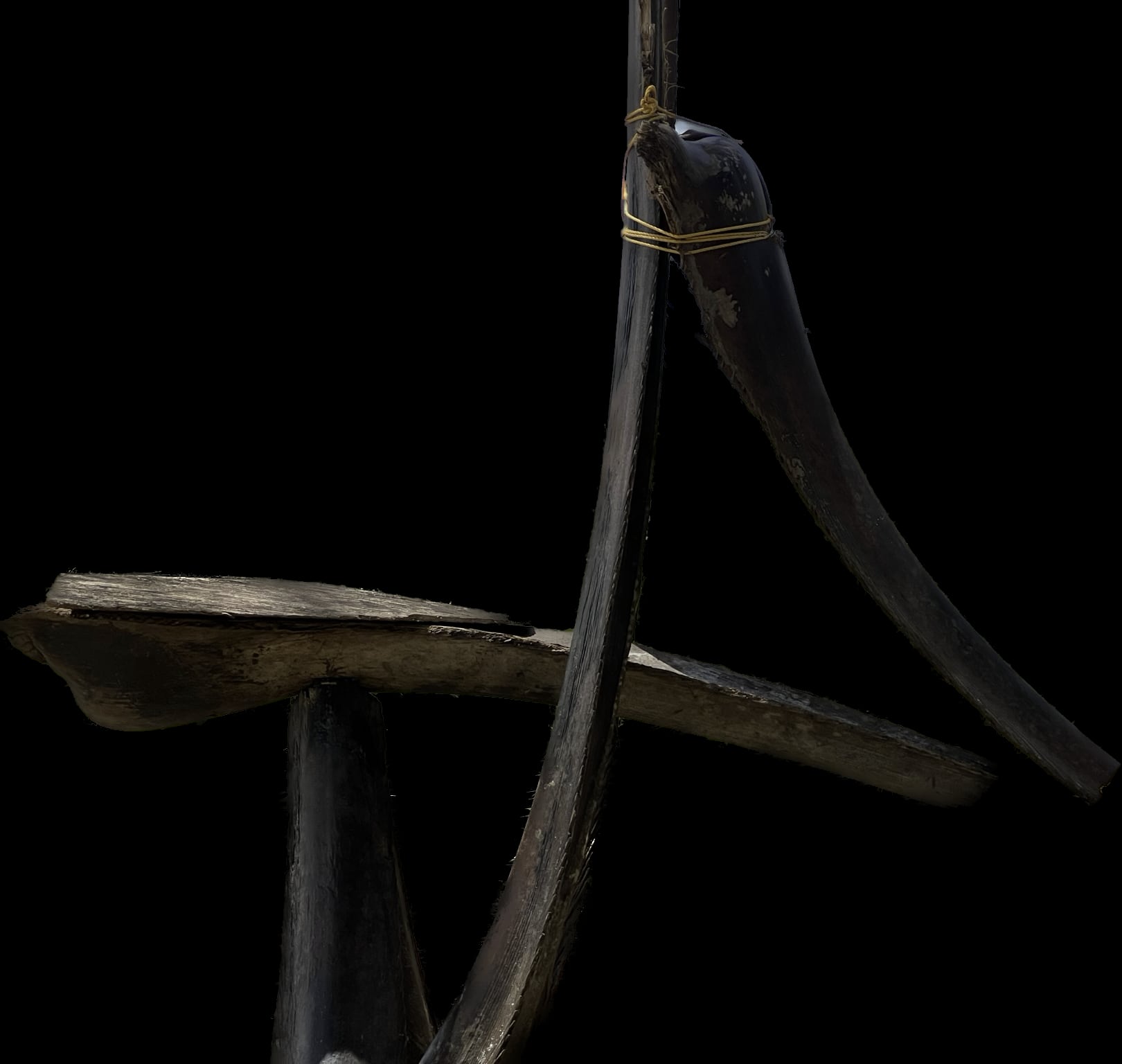Studio documentation isolates the profile and behavior of the form.